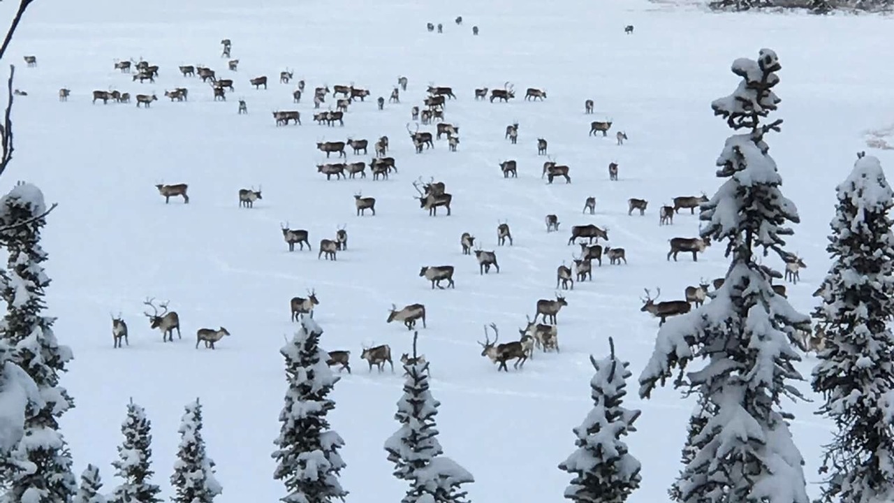 Photo of Others in Lake Louise