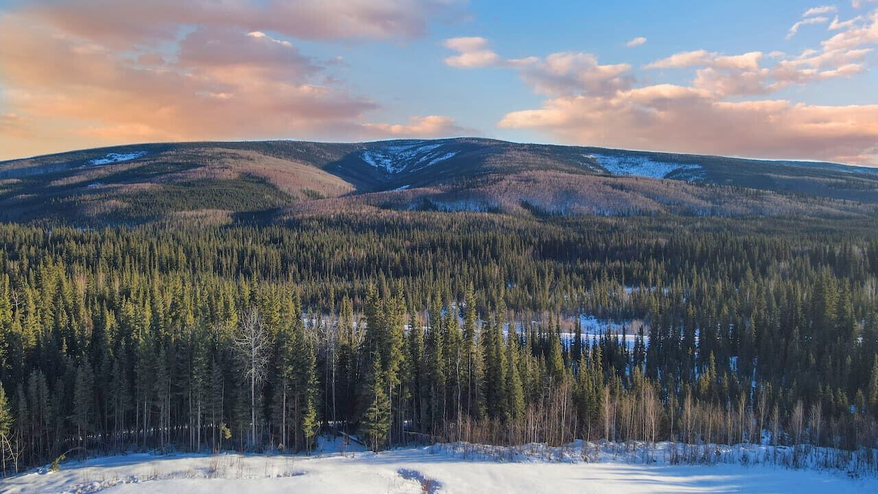 Photo of Outdoor in Fairbanks