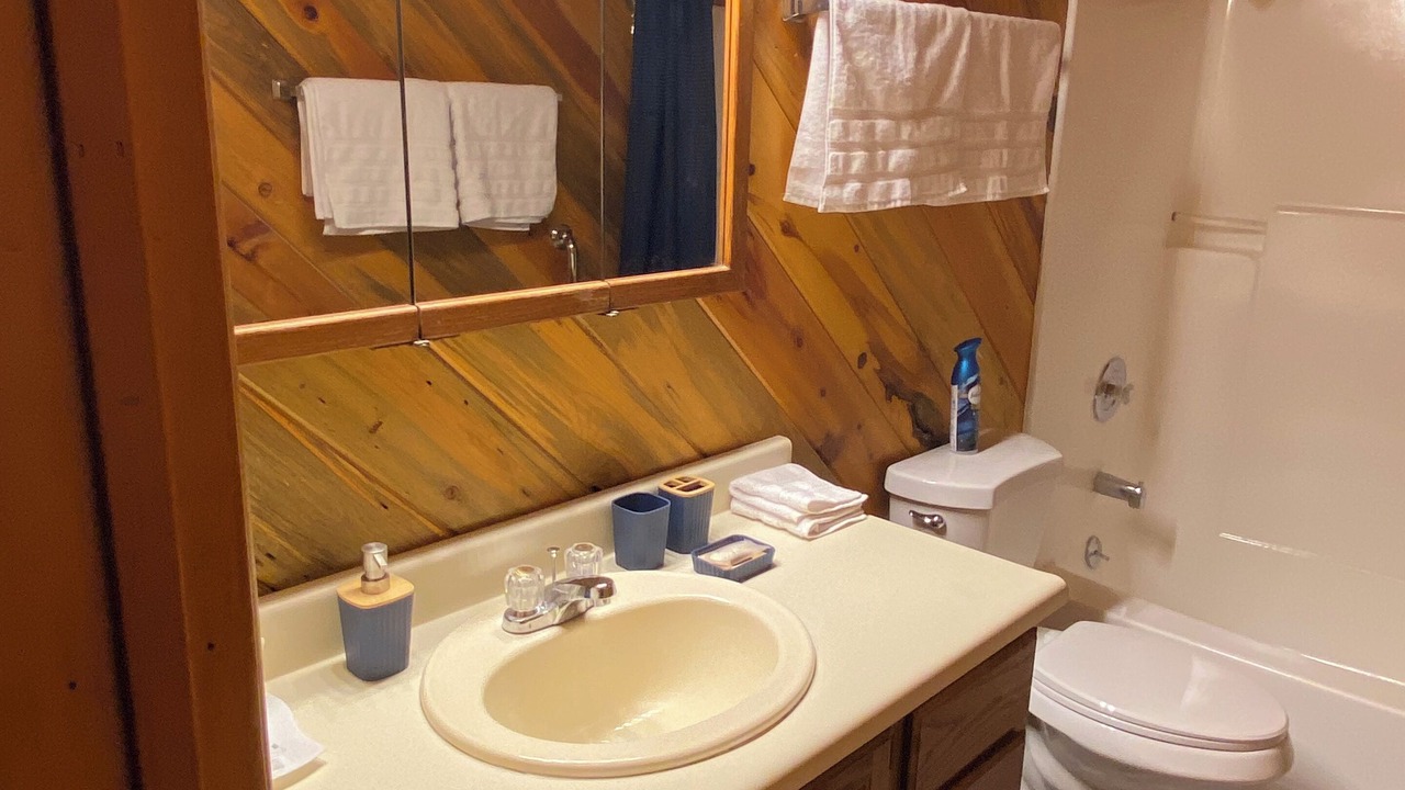 Photo of Bathroom in Deltana
