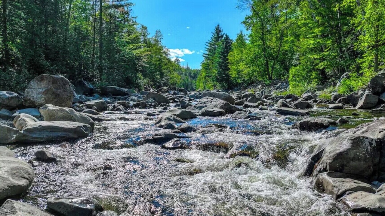 Photo of Others in Carrabassett Valley