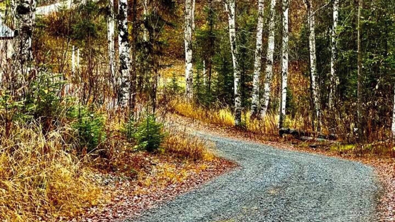Photo of Others in Susitna North