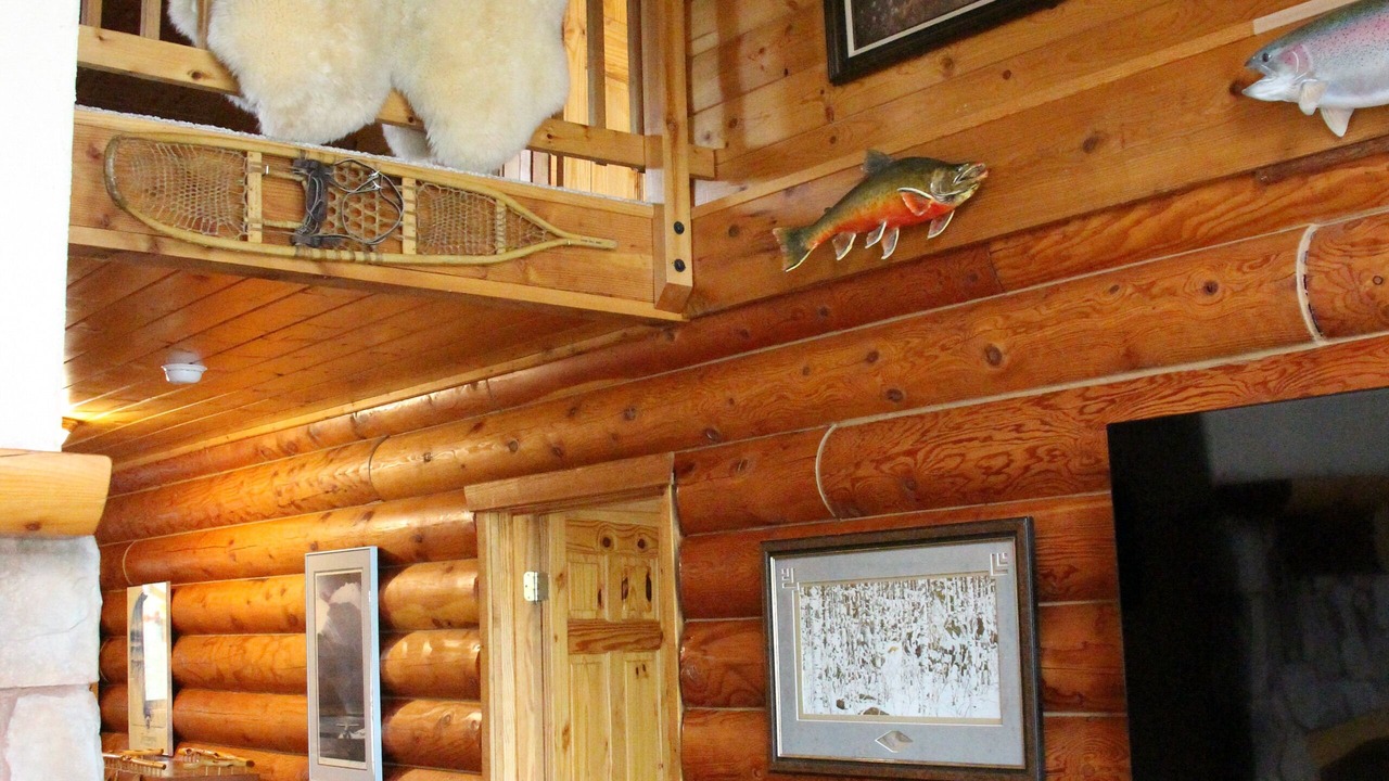 Photo of Others in Susitna North