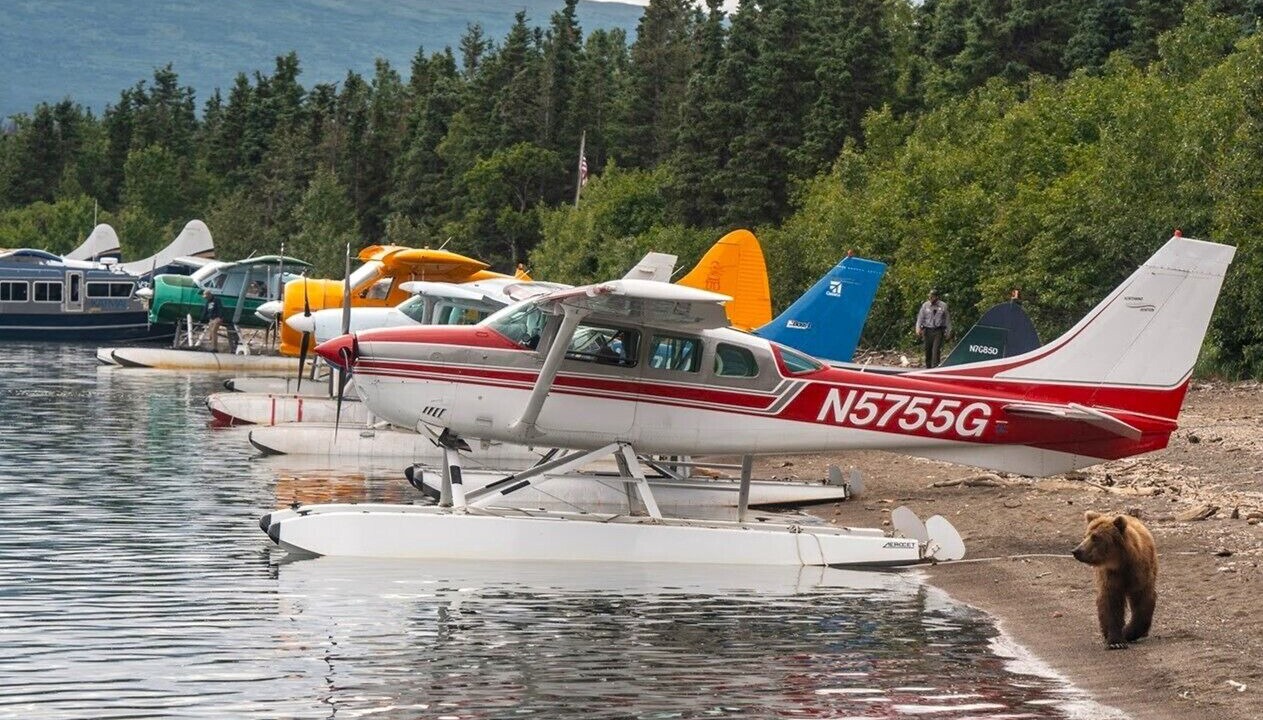 Photo of Others in Fritz Creek