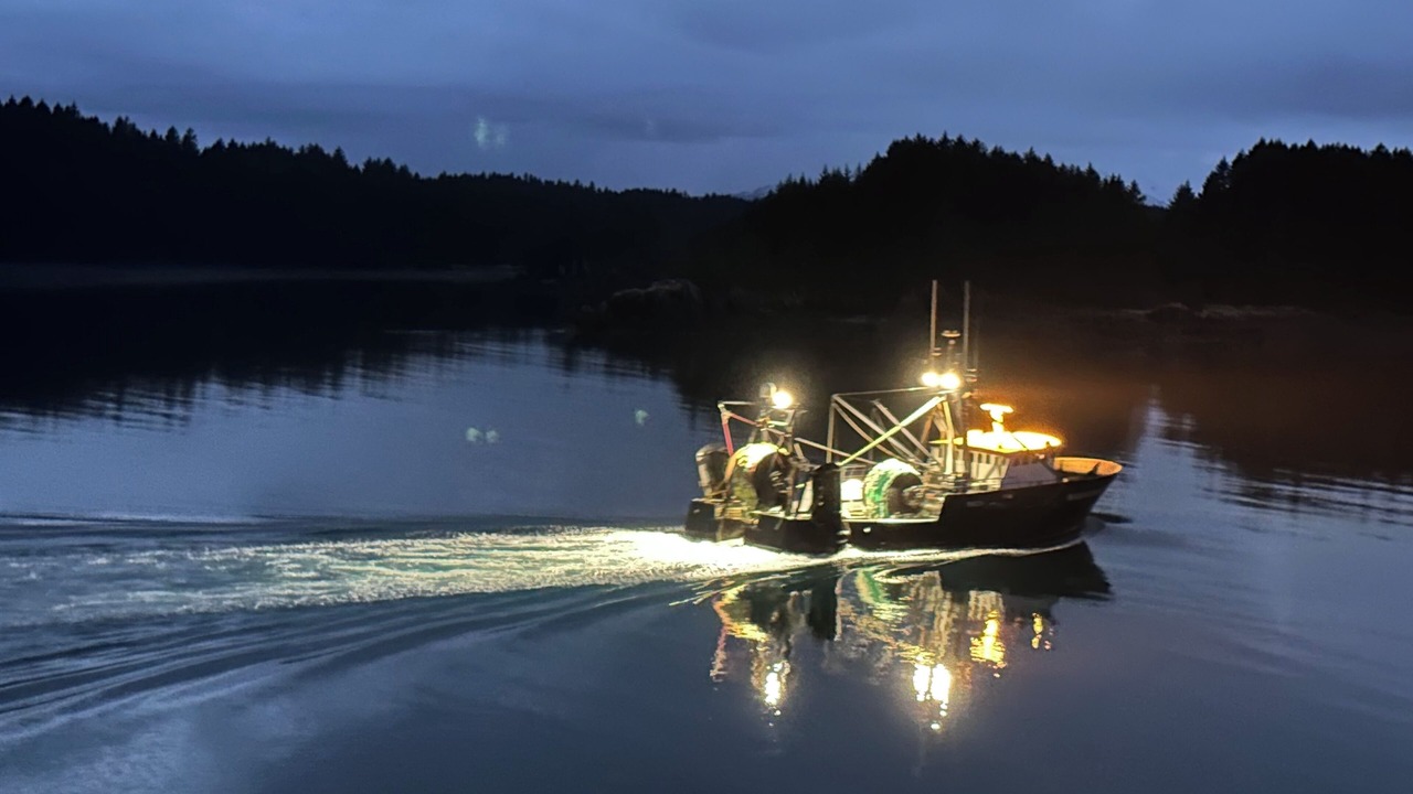 Photo of Others in Kodiak