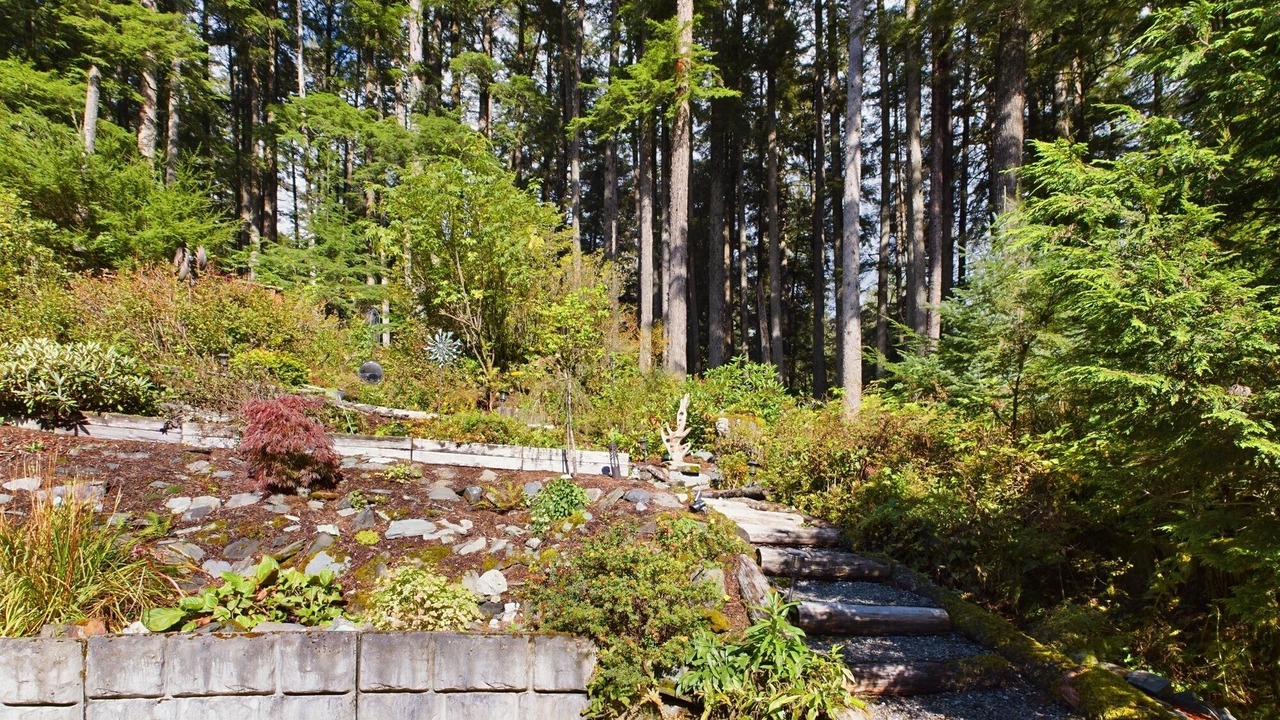 Photo of Outdoor in Mendenhall Valley