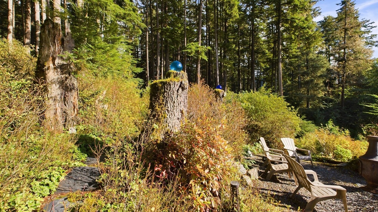 Photo of Outdoor in Mendenhall Valley