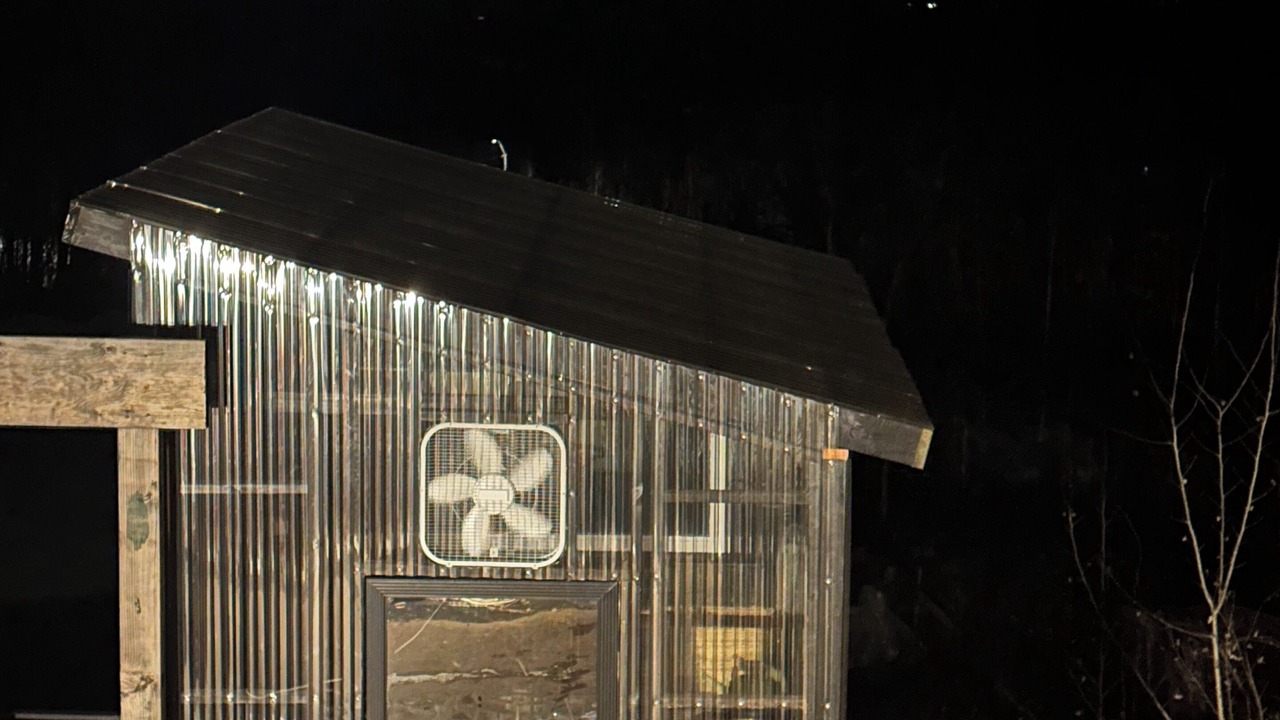 Photo of Outdoor in Fairbanks