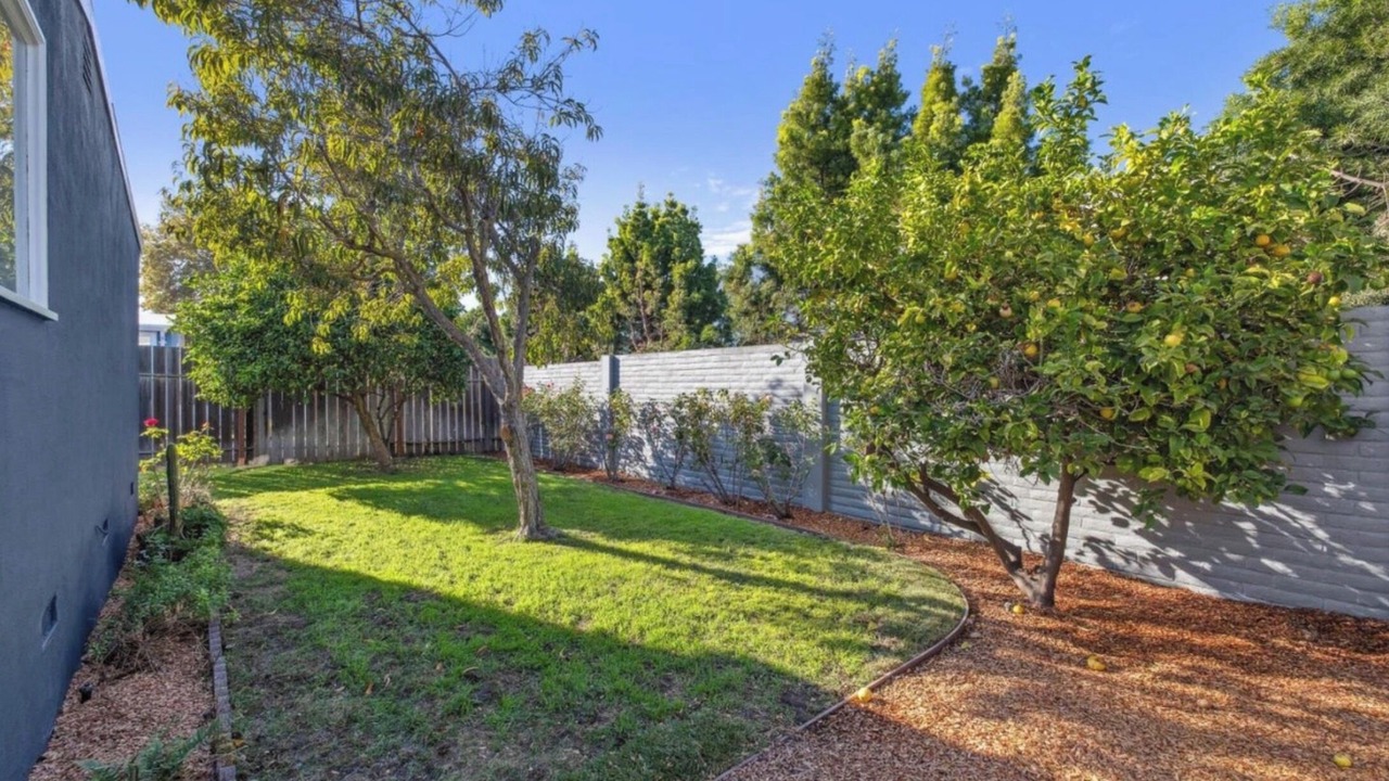 Photo of Outdoor in East Palo Alto