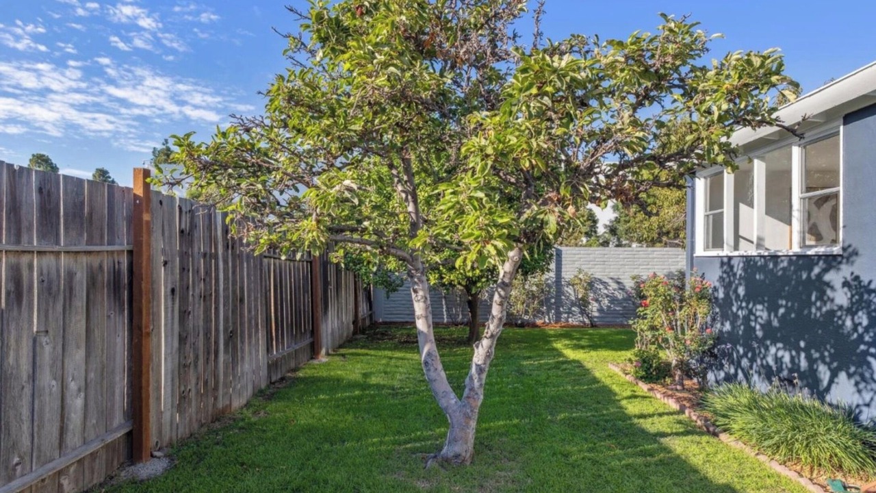 Photo of Outdoor in East Palo Alto