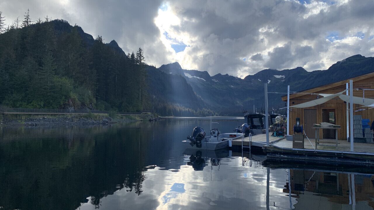 Photo of Others in Juneau