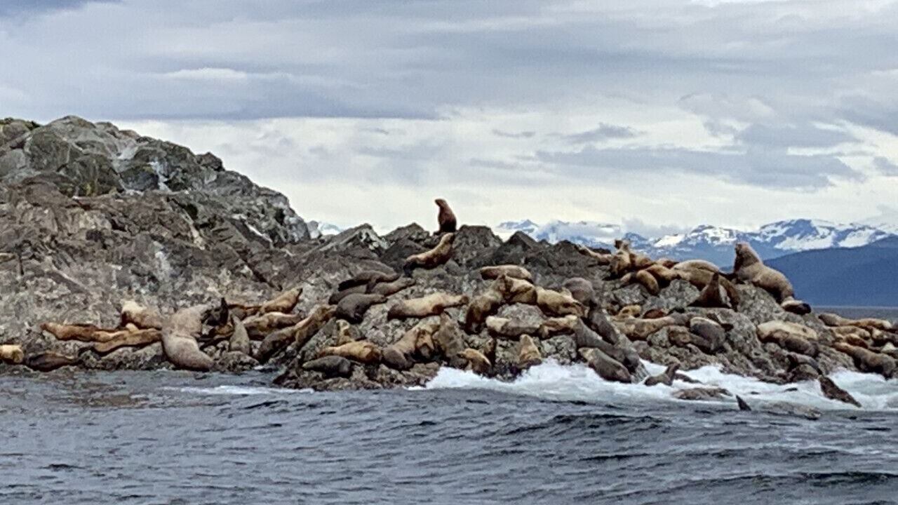 Photo of Others in Juneau