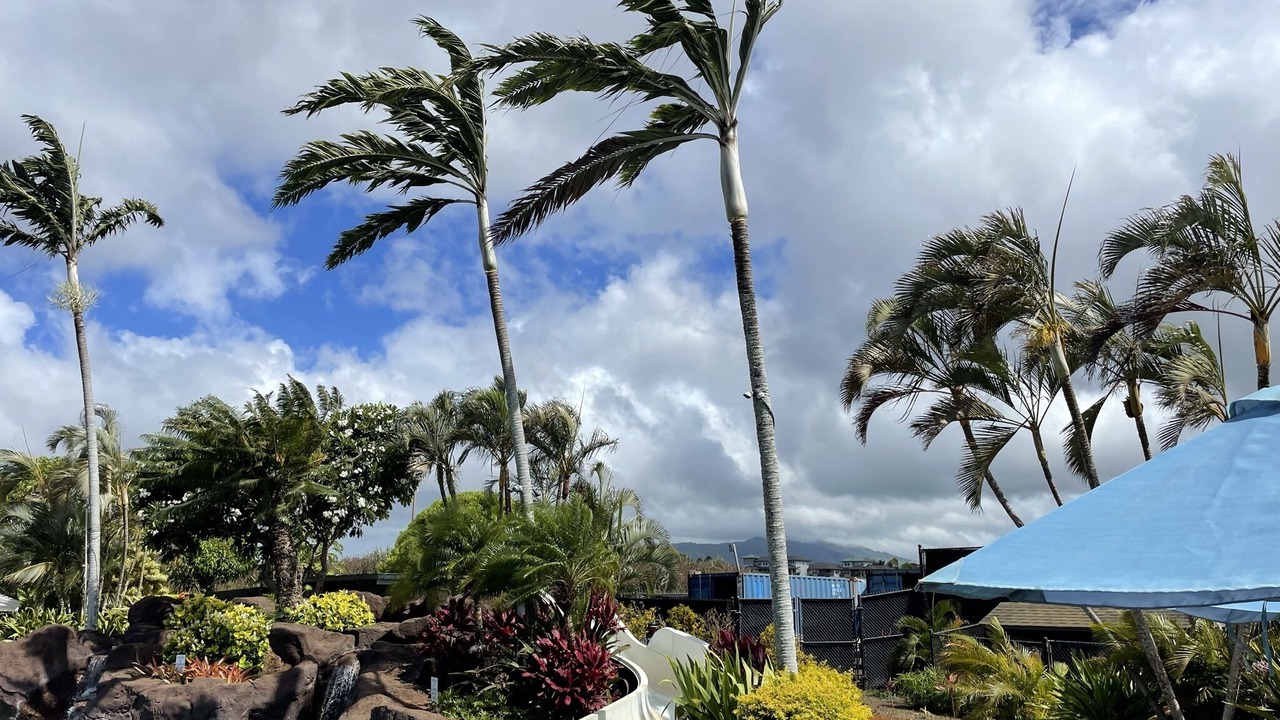 Photo of Others in Poipu