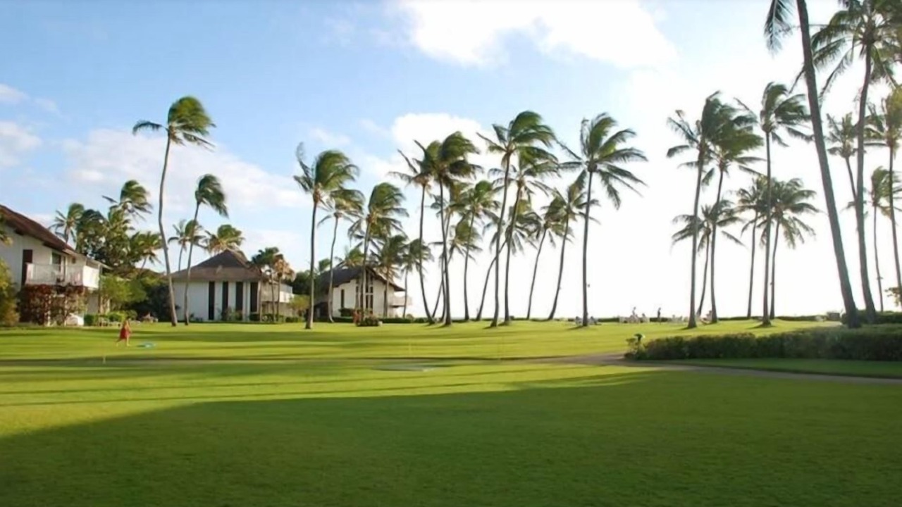 Photo of Others in Poipu
