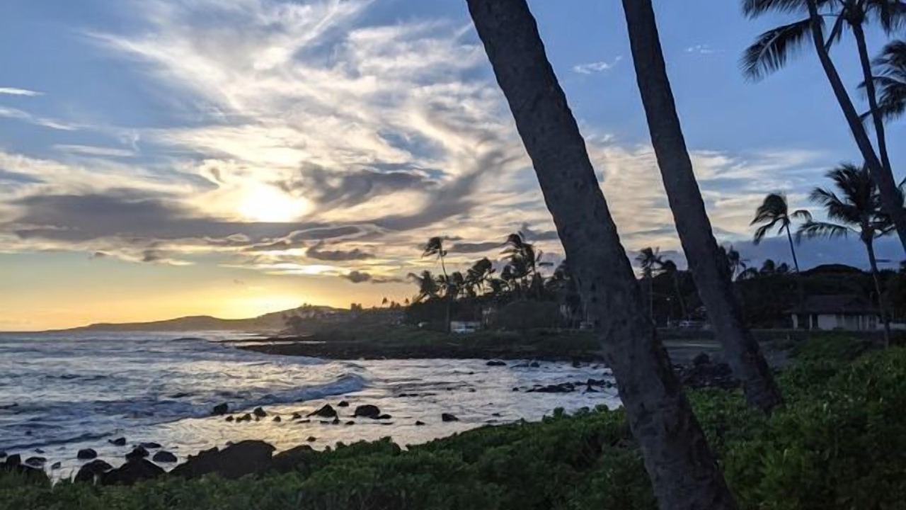 Photo of Others in Poipu