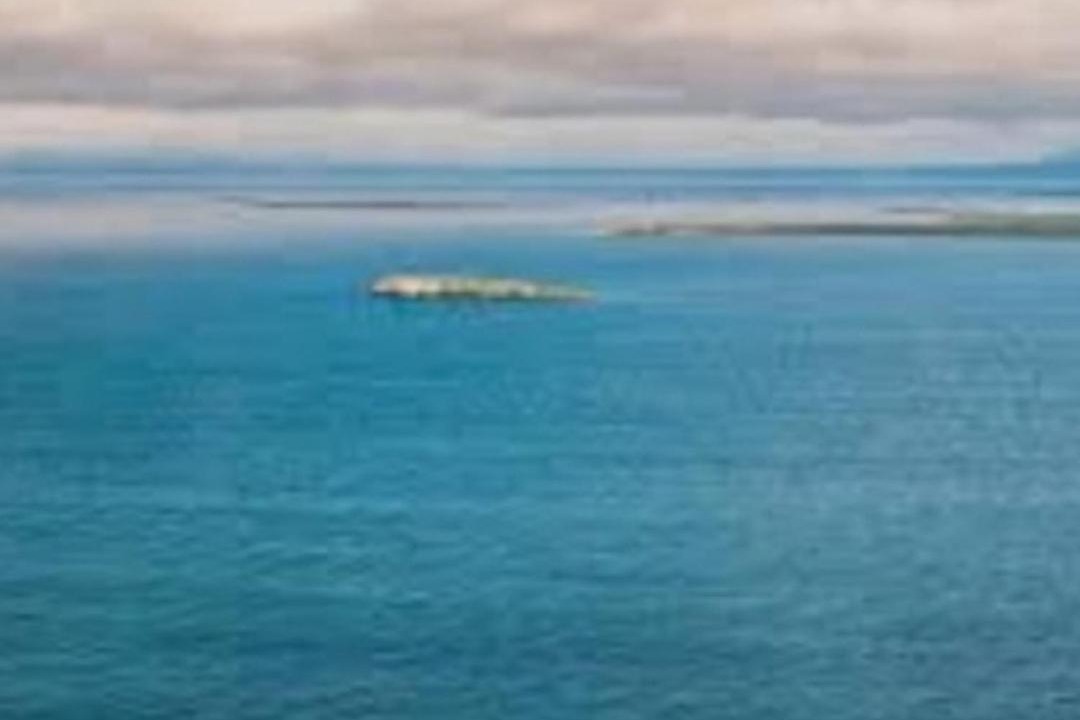 Photo of Others in Iliamna