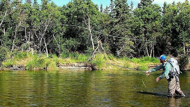 Photo of Others in Bristol Bay Borough