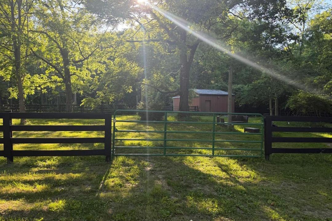 Photo of Others in Delaware