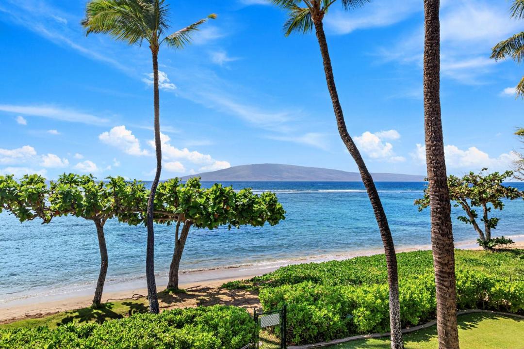 Photo of Others in Historic Lahaina Front Street