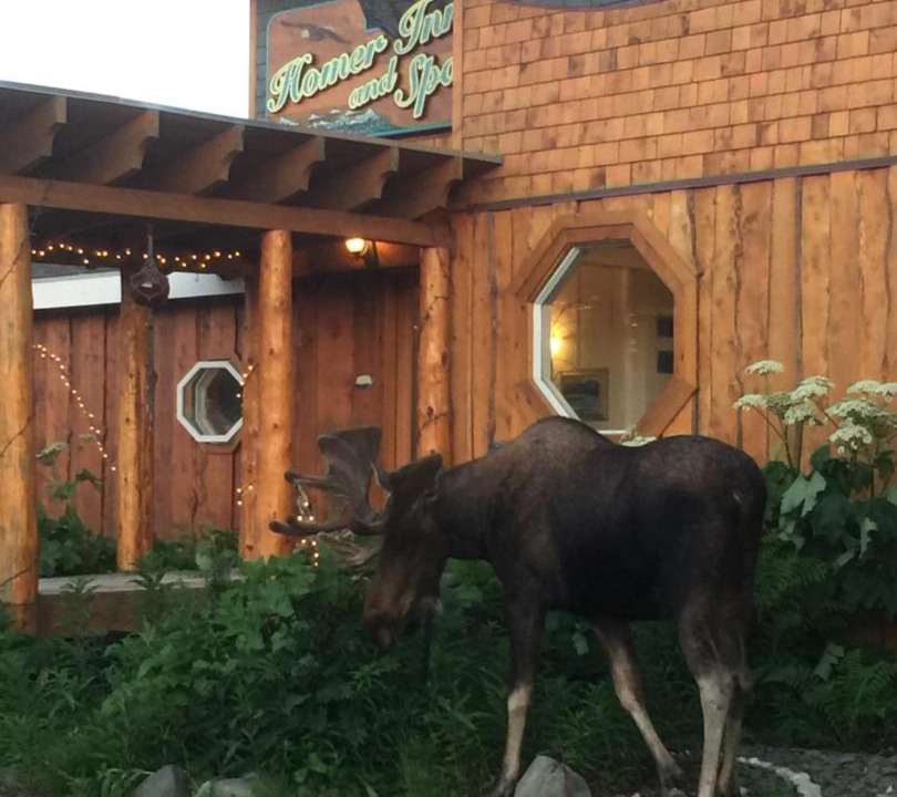 Photo of Others in Homer