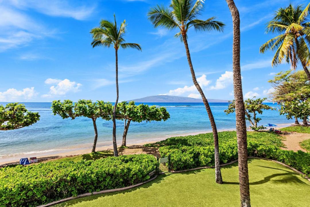 Photo of Others in Historic Lahaina Front Street