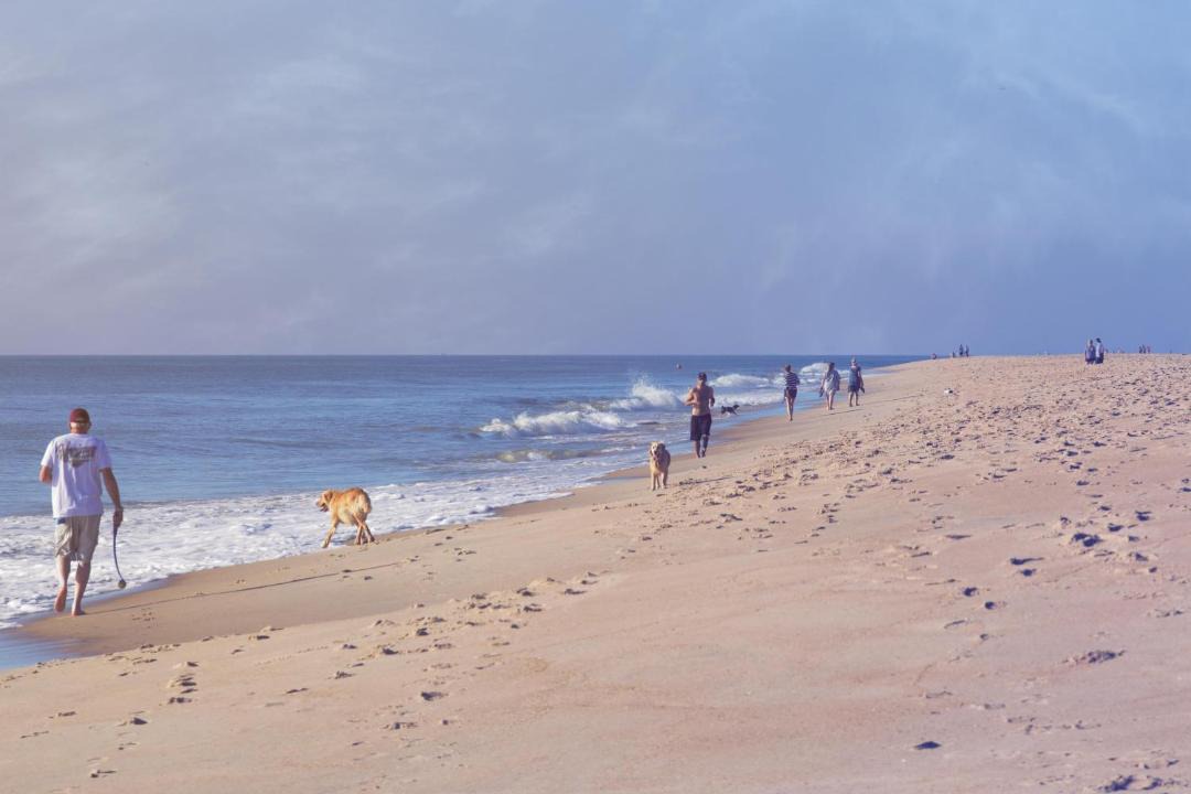 Photo of Others in Dewey Beach