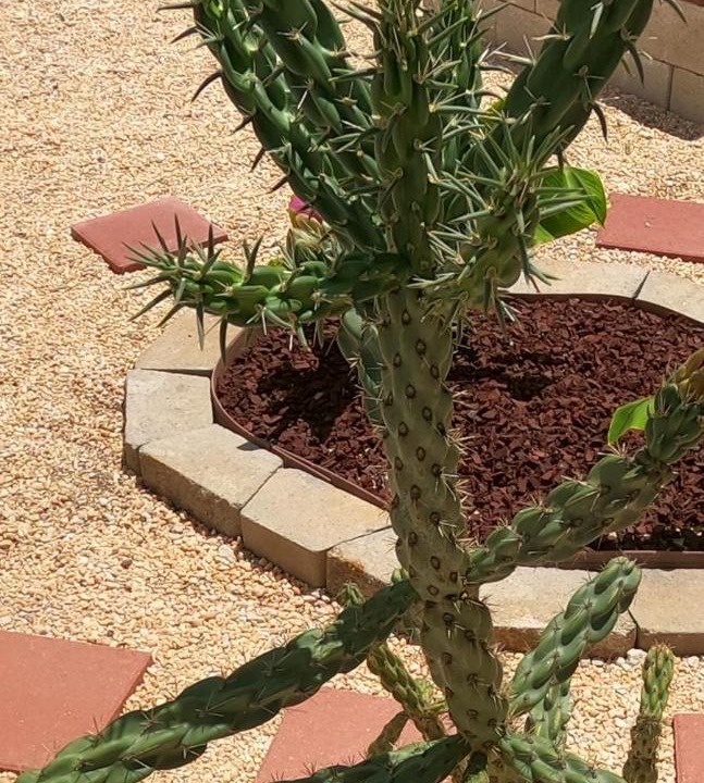 Photo of Outdoor in Long Neck