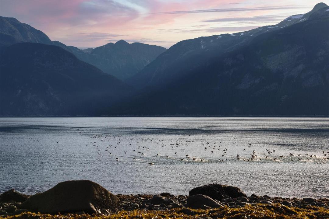 Photo of Others in Haines