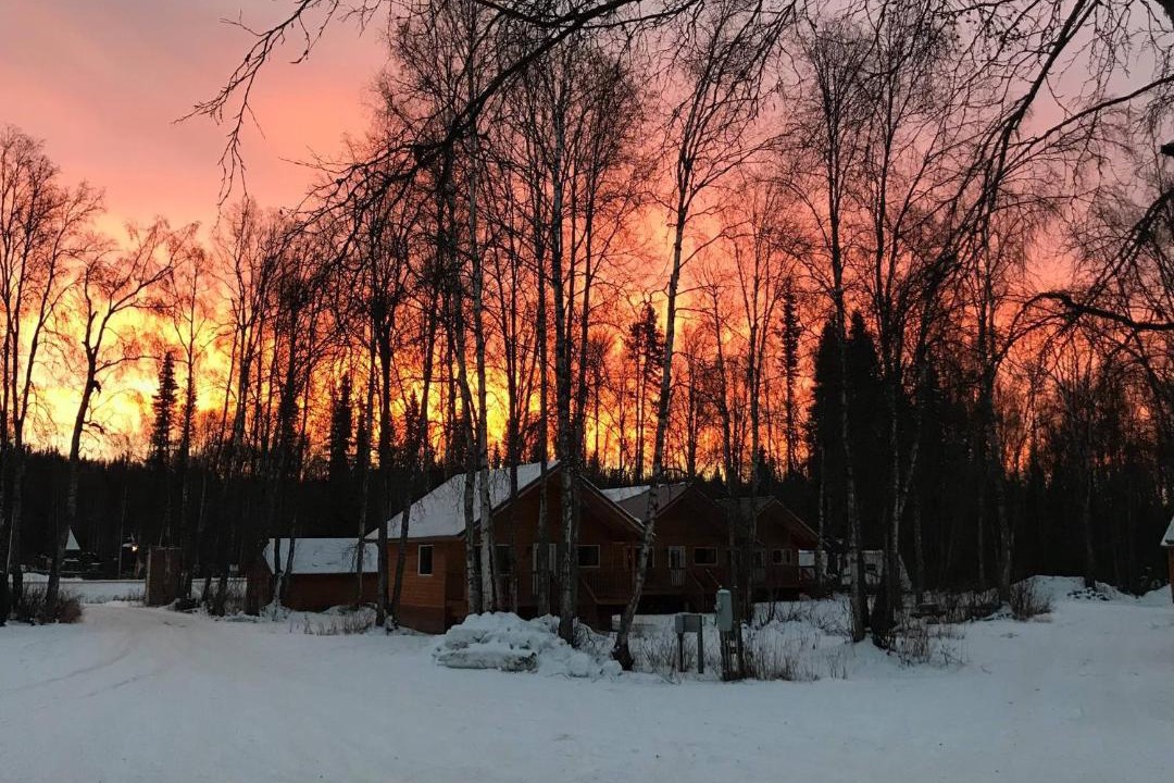 Photo of Others in Talkeetna
