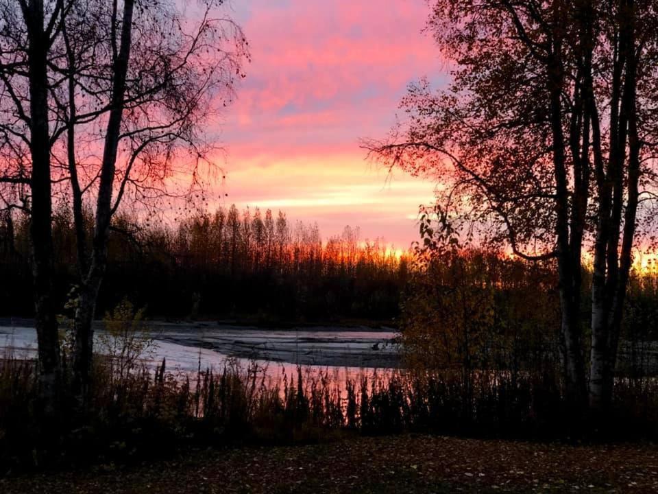 Photo of Others in Talkeetna