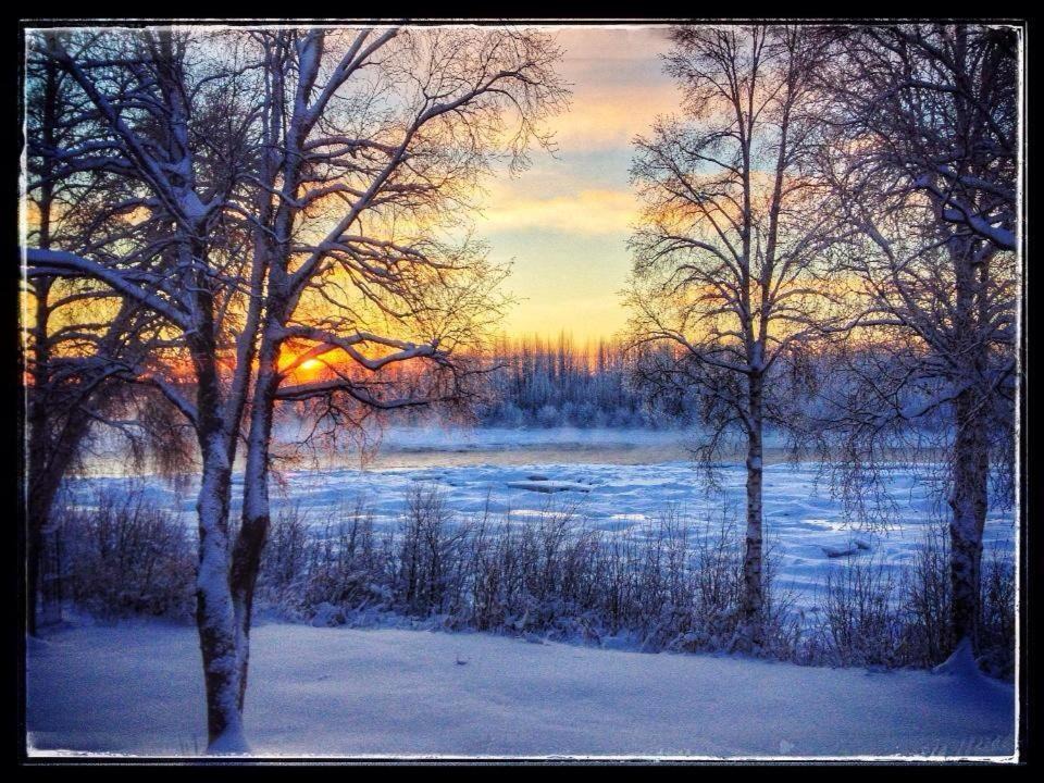 Photo of Others in Talkeetna