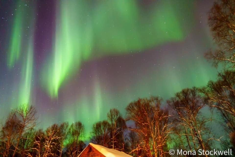 Photo of Others in Talkeetna