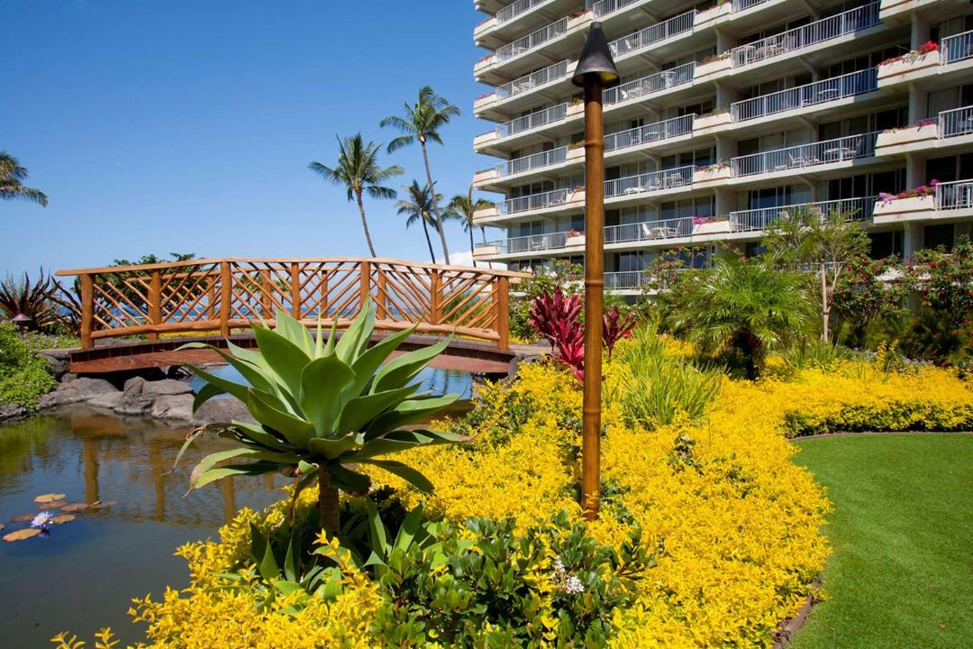 Photo of Others in Kaanapali
