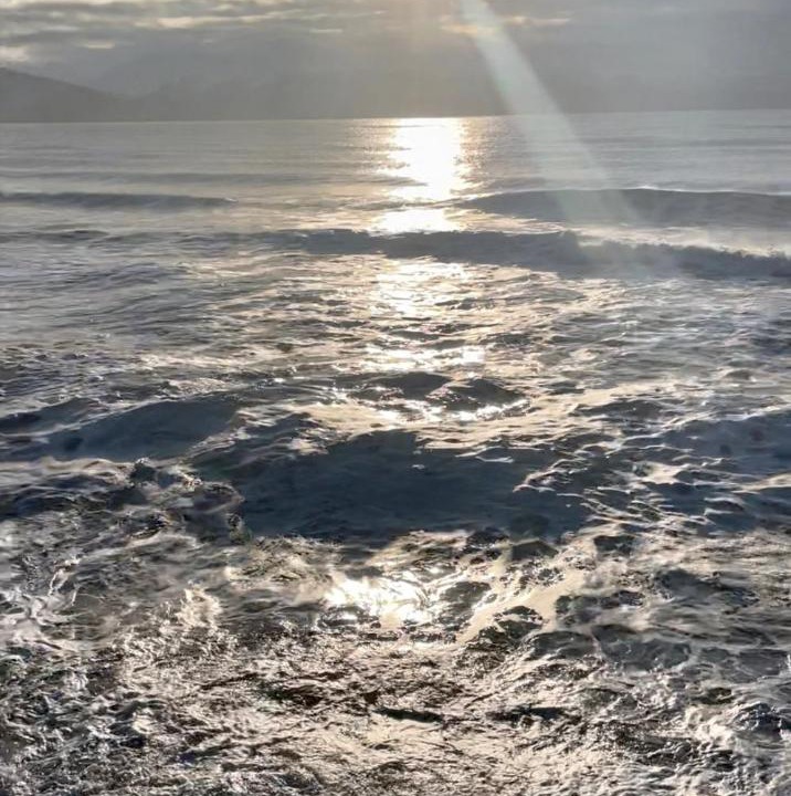 Photo of Others in Homer