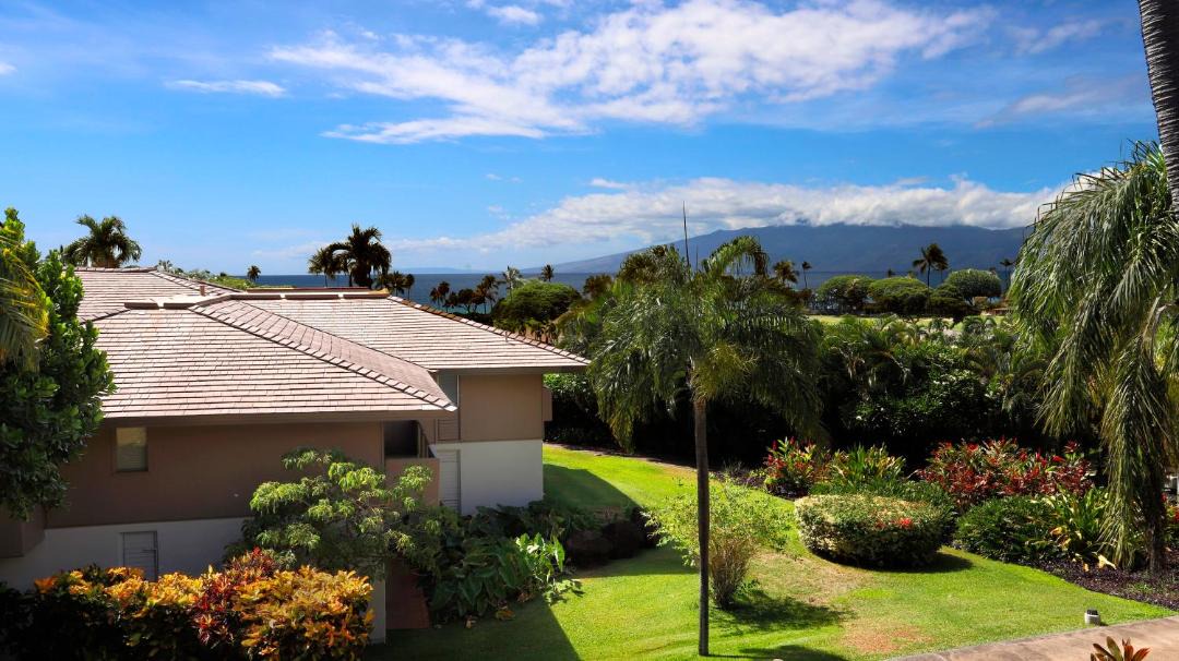 Photo of Others in Kaanapali