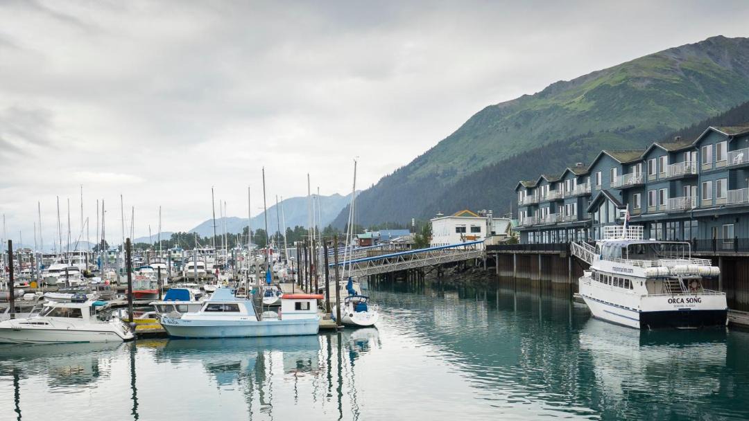 Photo of Others in Seward
