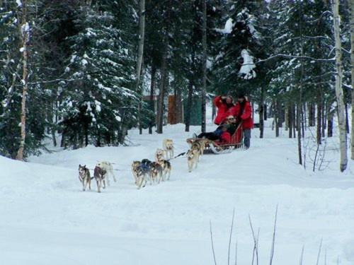 Photo of Others in Fairbanks North Star Borough