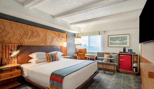 Room, 1 King Bed, Roll-in Shower