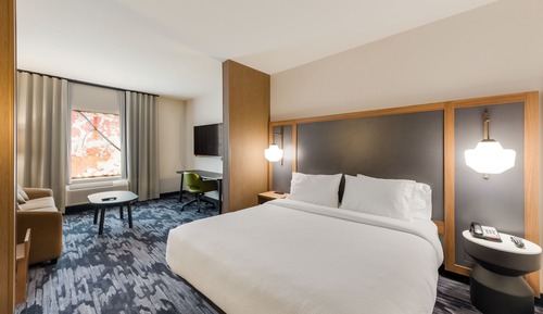 Suite, 1 King Bed with Sofa bed