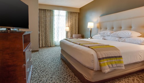 Suite, 1 King Bed (Sofa Sleeper, 2 Rooms)