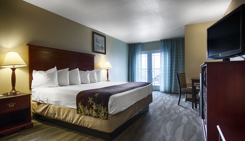 Room, 1 King Bed