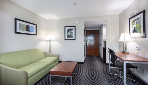 Standard Room, 1 King Bed, Non Smoking, Refrigerator & Microwave (with Single Sofabed)