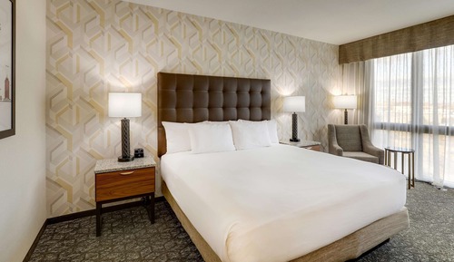 Room, 1 King Bed, Accessible (Roll in Shower)