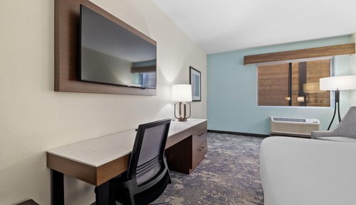 Room, 1 King Bed, Non Smoking
