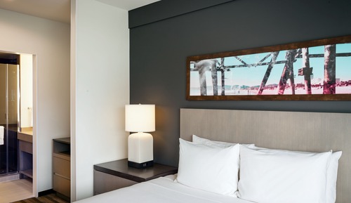Studio, 1 King Bed with Sofa bed