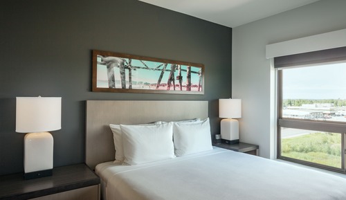Room, 1 King Bed