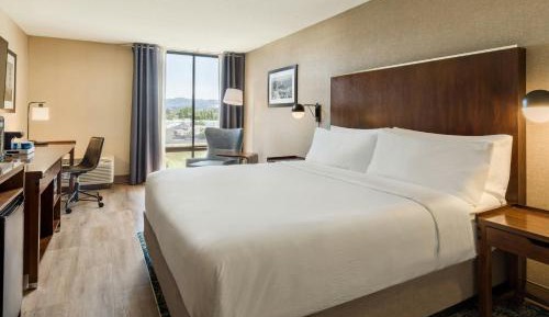 Guest Room, 1 King