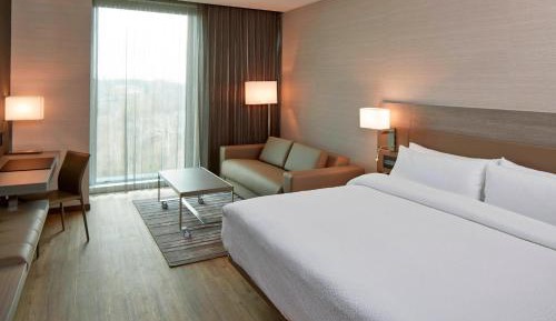 King Room with Sofa Bed - Hearing Accessible