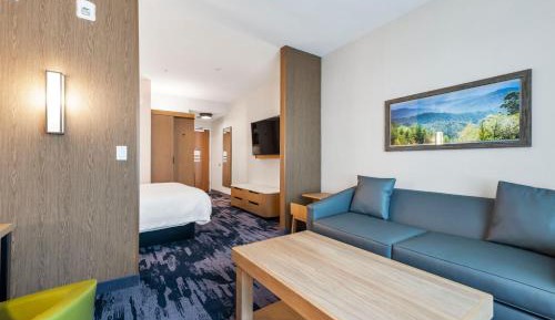 Studio with King Bed and Sofa Bed