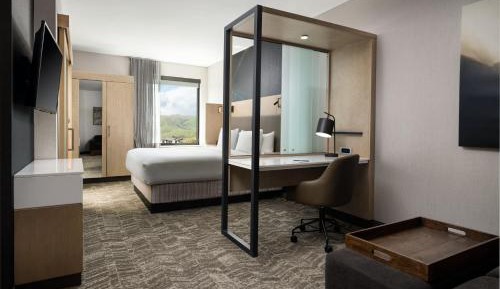 King Suite with Trundle Sofa