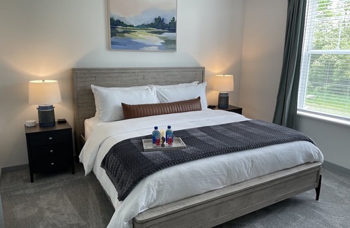 Tuttle West Apartment | The Queen of Dublin | Luxury 2BR Near Bridge Park | Pool + Gym